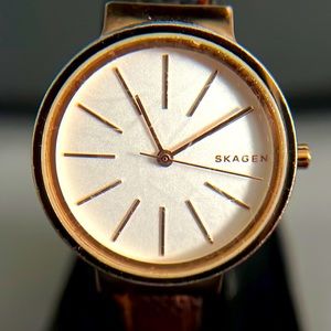 Skagen SKW 2481 Ladies Quartz  Watch